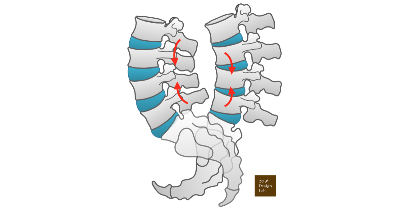  腰椎と仙骨の動き