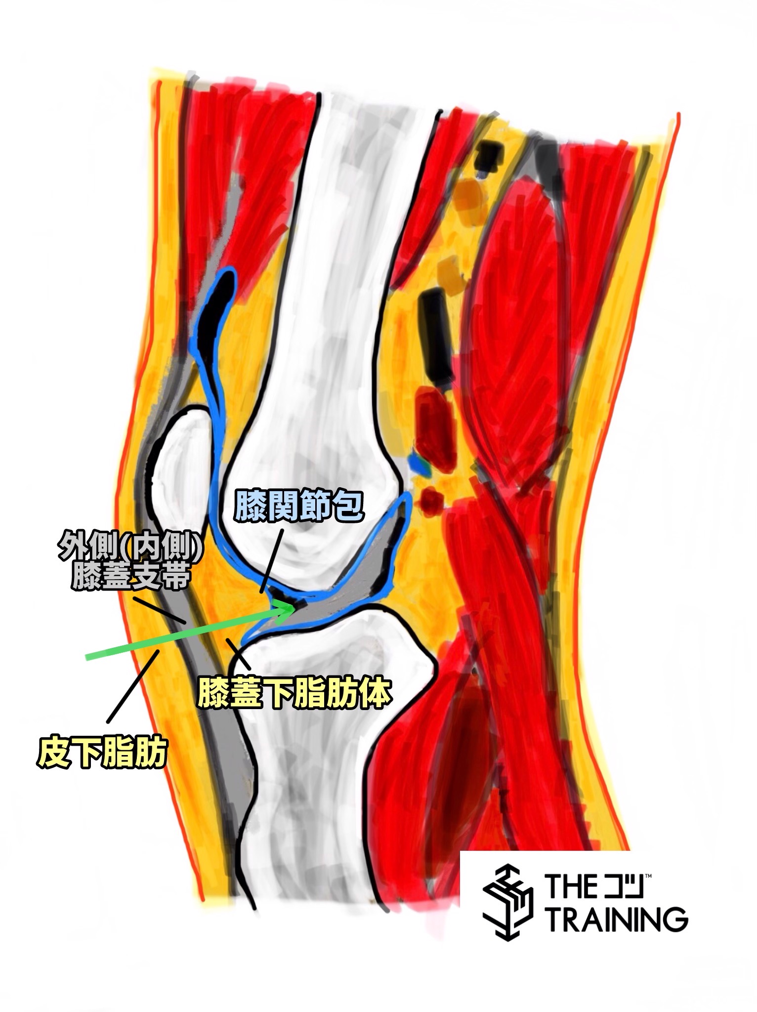 体幹を柔らかく扱うためのイメージトレーニングのコツ